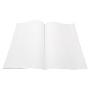 Dvojhárok čistý, A3, 250 ks